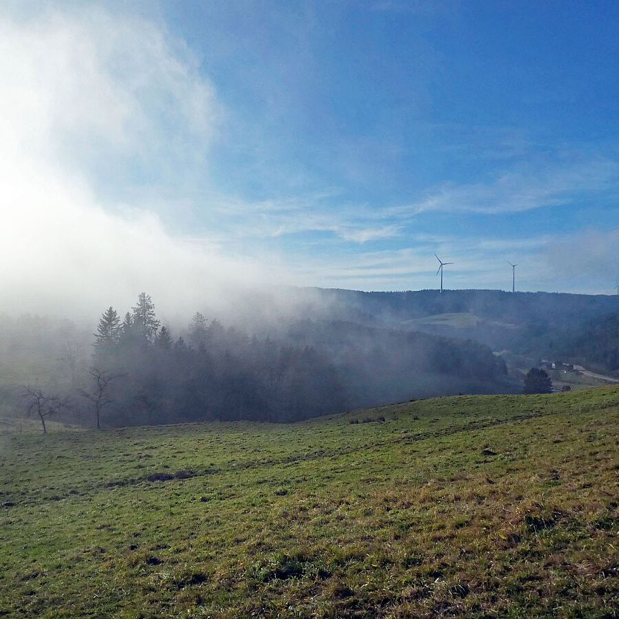 Mittelbergrunde im Nebel 04