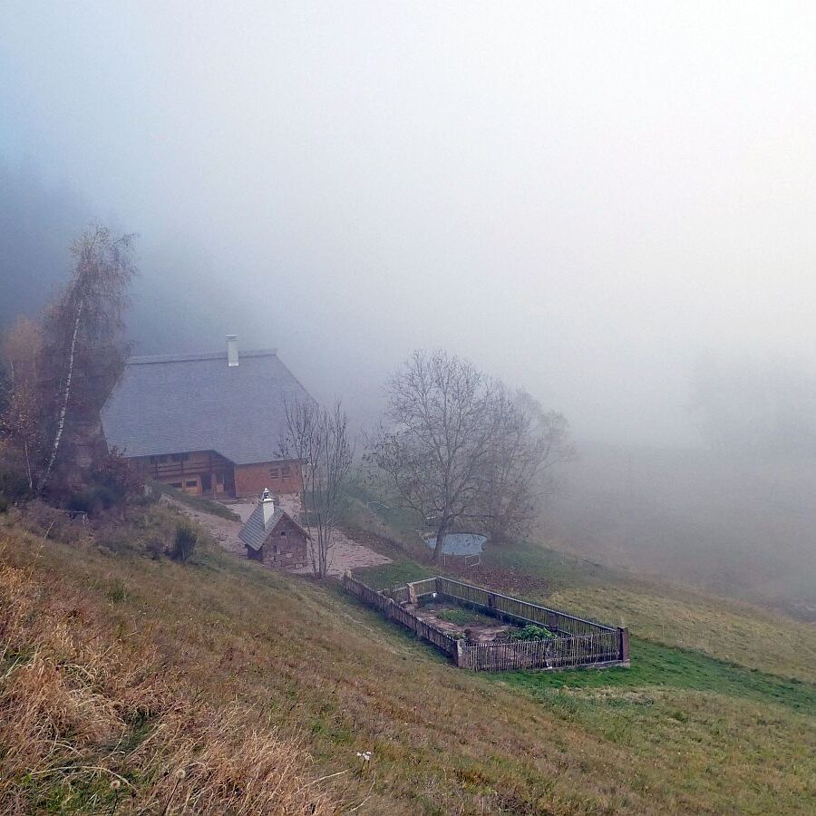 Mittelbergrunde im Nebel 05