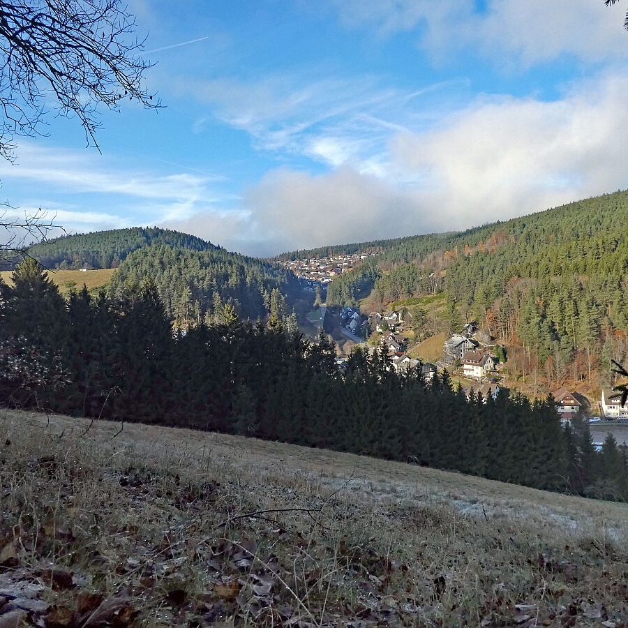 Mittelbergrunde im Nebel 06