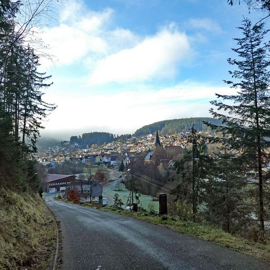Mittelbergrunde im Nebel 07
