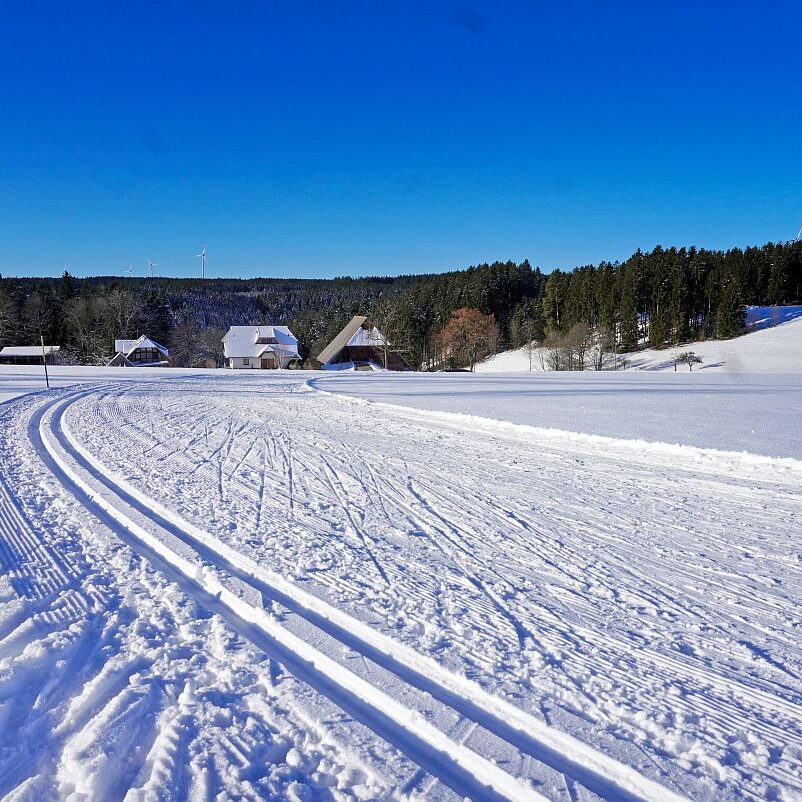 Loipe Winterwander Rodel in Tennenbronn 01
