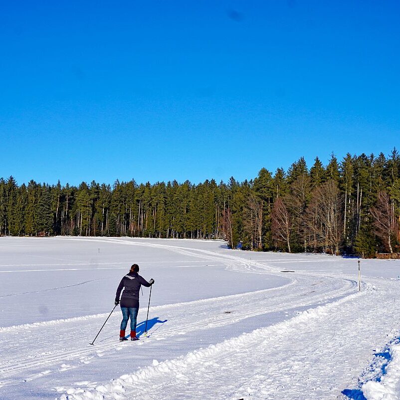 Loipe Winterwander Rodel in Tennenbronn 02