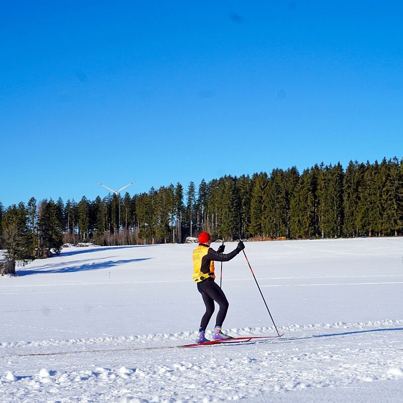 Loipe Winterwander Rodel in Tennenbronn 03