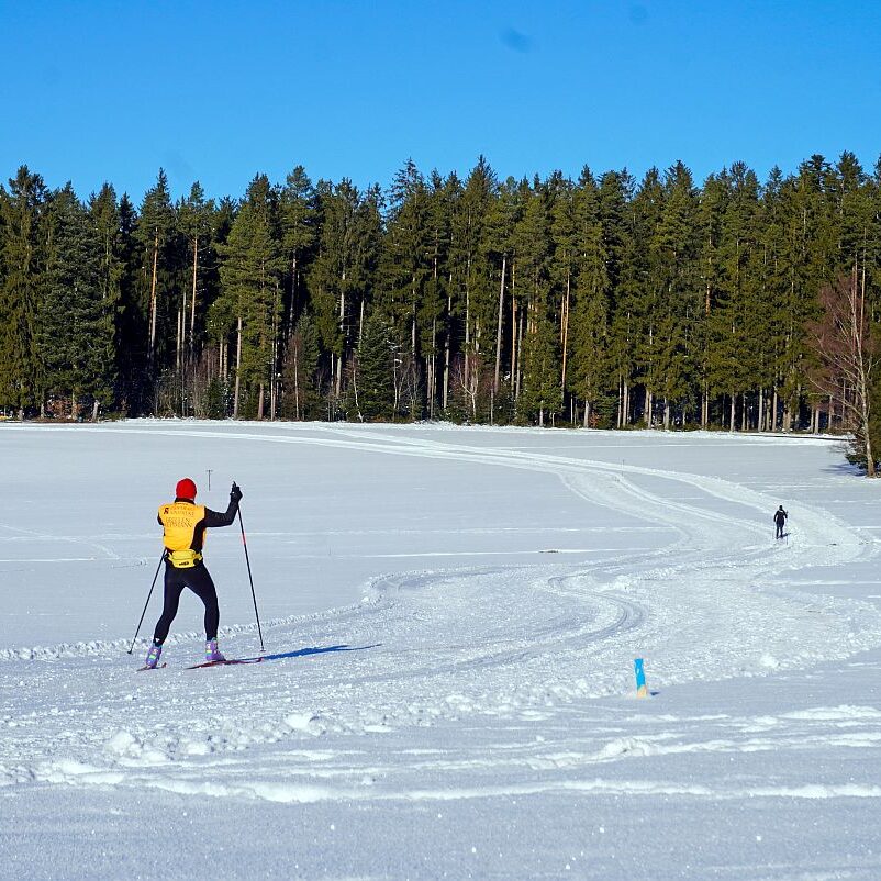Loipe Winterwander Rodel in Tennenbronn 04