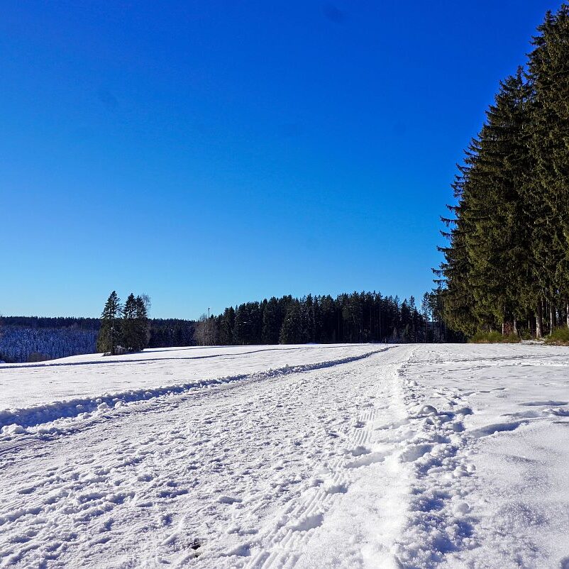 Loipe Winterwander Rodel in Tennenbronn 05