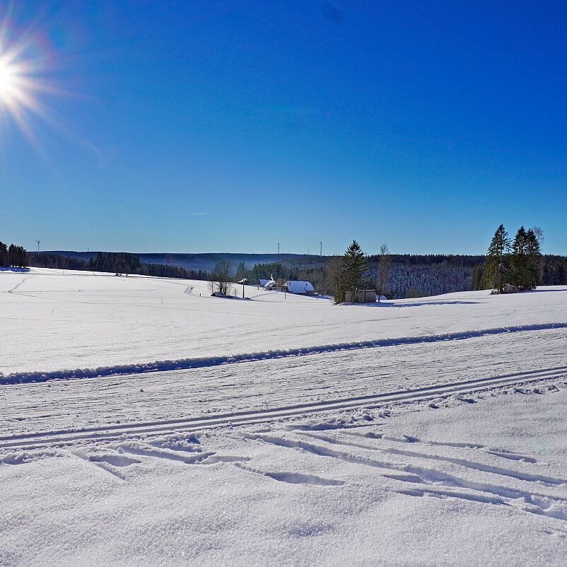 Loipe Winterwander Rodel in Tennenbronn 06