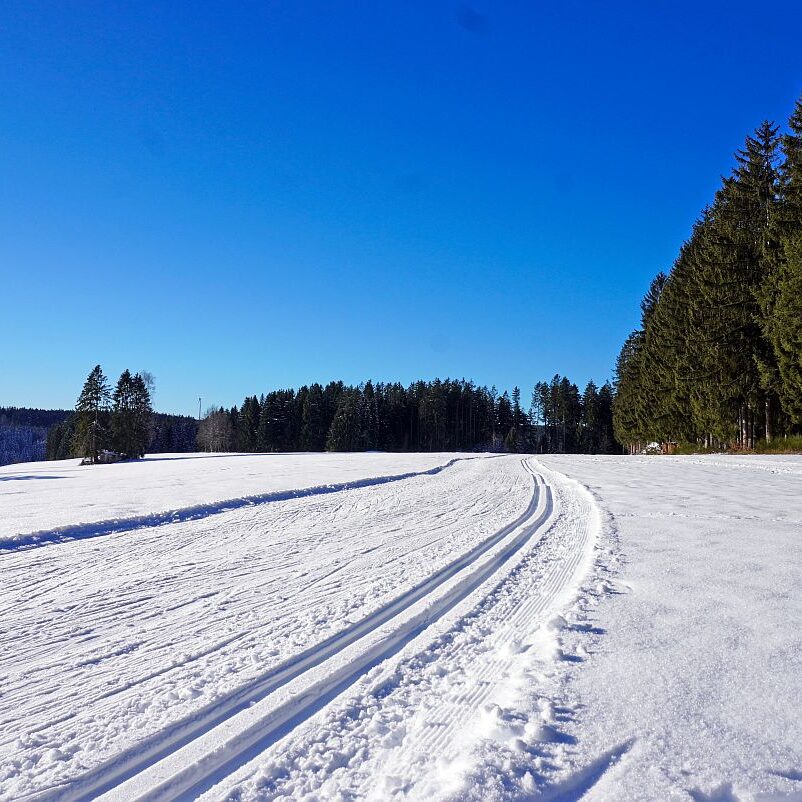 Loipe Winterwander Rodel in Tennenbronn 07