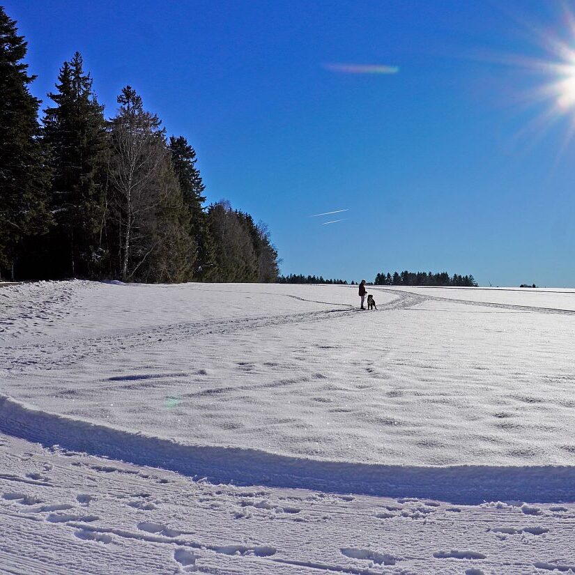 Loipe Winterwander Rodel in Tennenbronn 09