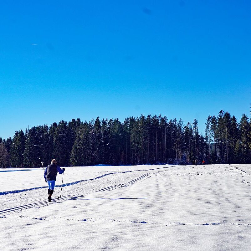 Loipe Winterwander Rodel in Tennenbronn 10