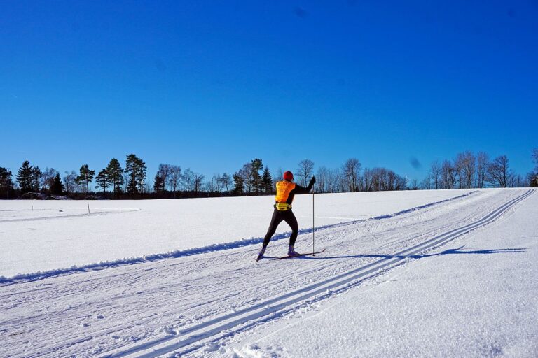 Loipe Winterwander Rodel in Tennenbronn 12