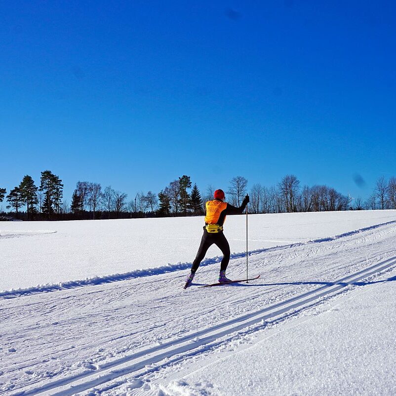 Loipe Winterwander Rodel in Tennenbronn 12