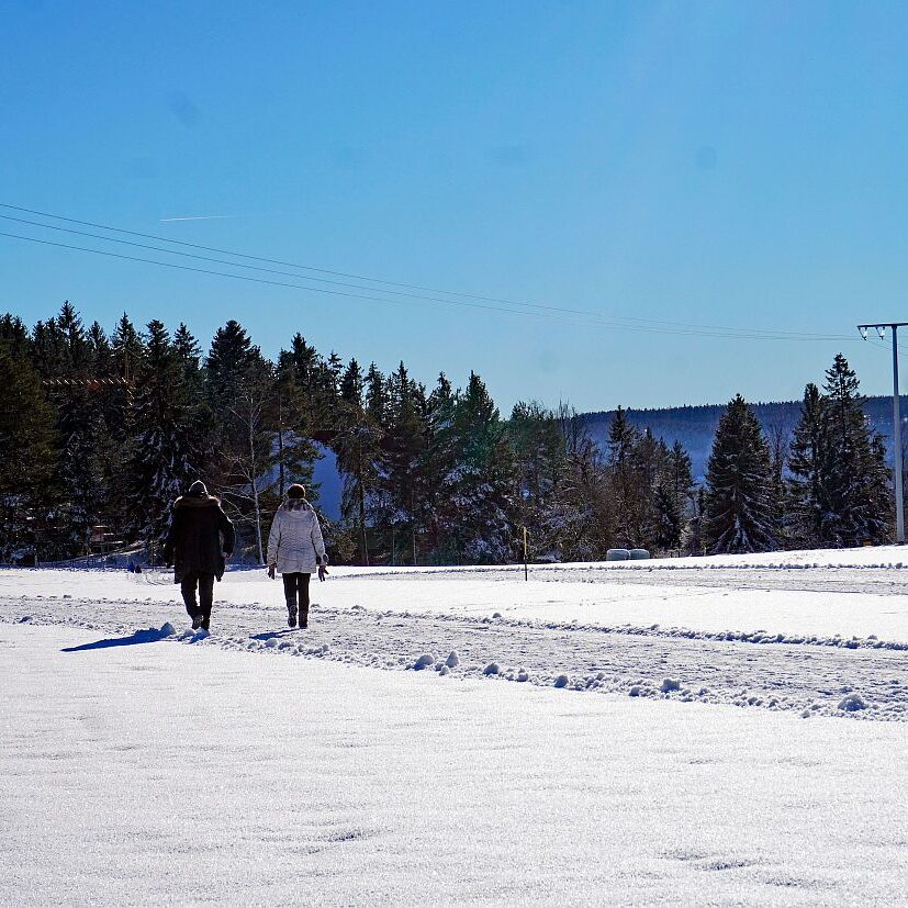 Loipe Winterwander Rodel in Tennenbronn 14