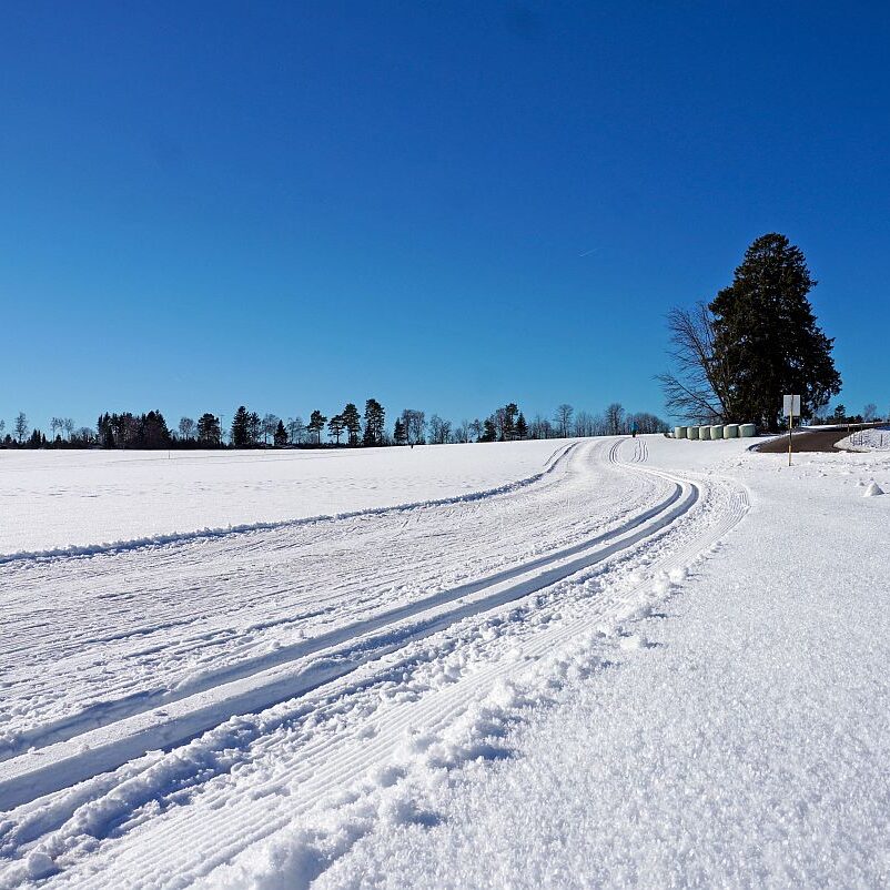 Loipe Winterwander Rodel in Tennenbronn 15