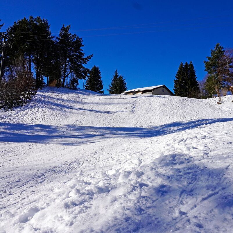 Loipe Winterwander Rodel in Tennenbronn 17