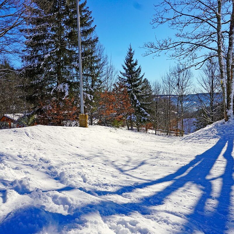 Loipe Winterwander Rodel in Tennenbronn 18