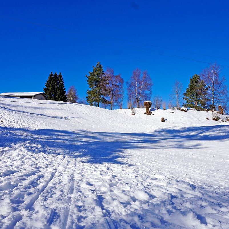 Loipe Winterwander Rodel in Tennenbronn 19