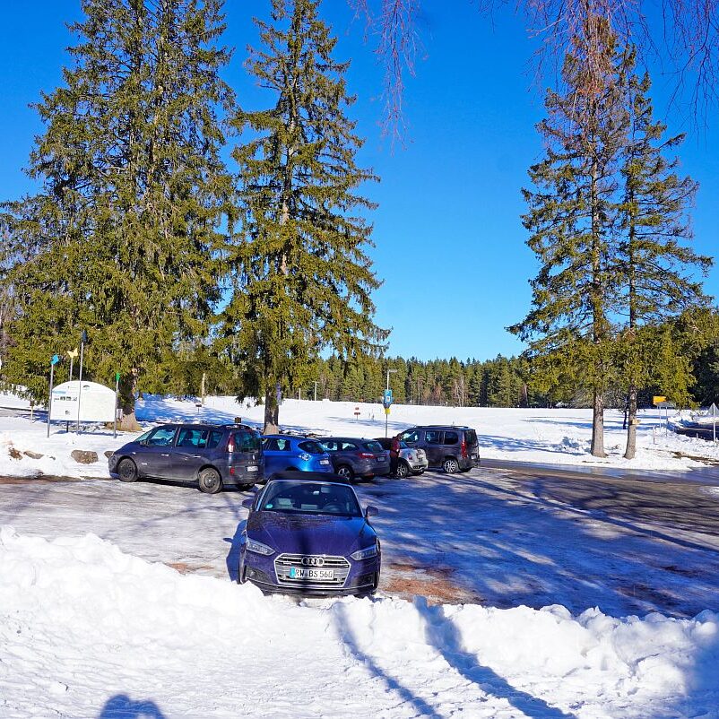 Loipe Winterwander Rodel in Tennenbronn 20