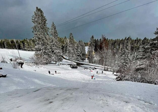 Rodelbahn Tennenbronn 01