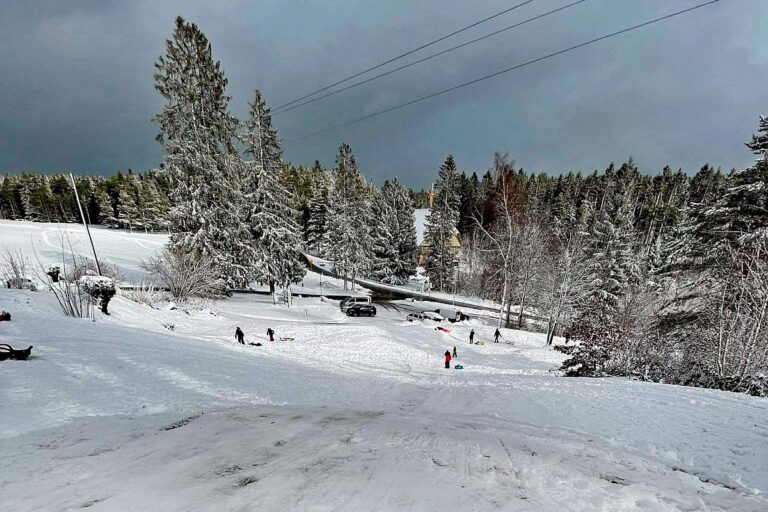 Rodelbahn Tennenbronn 01