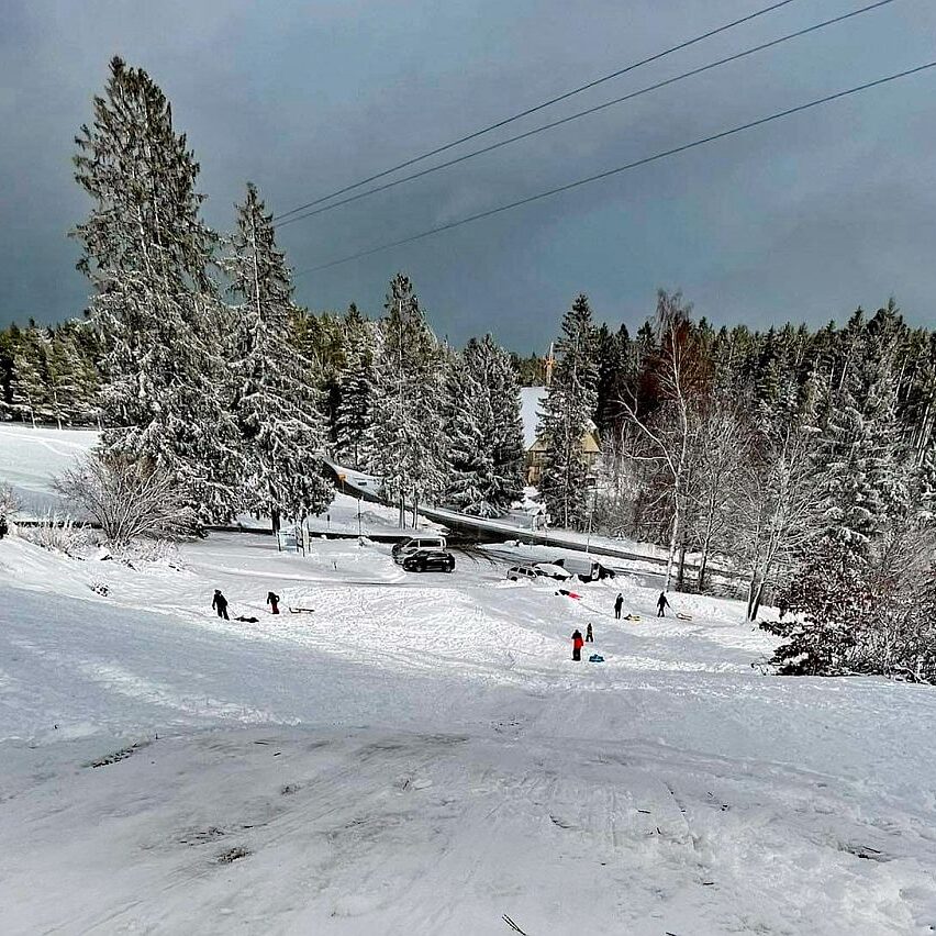 Rodelbahn Tennenbronn 01
