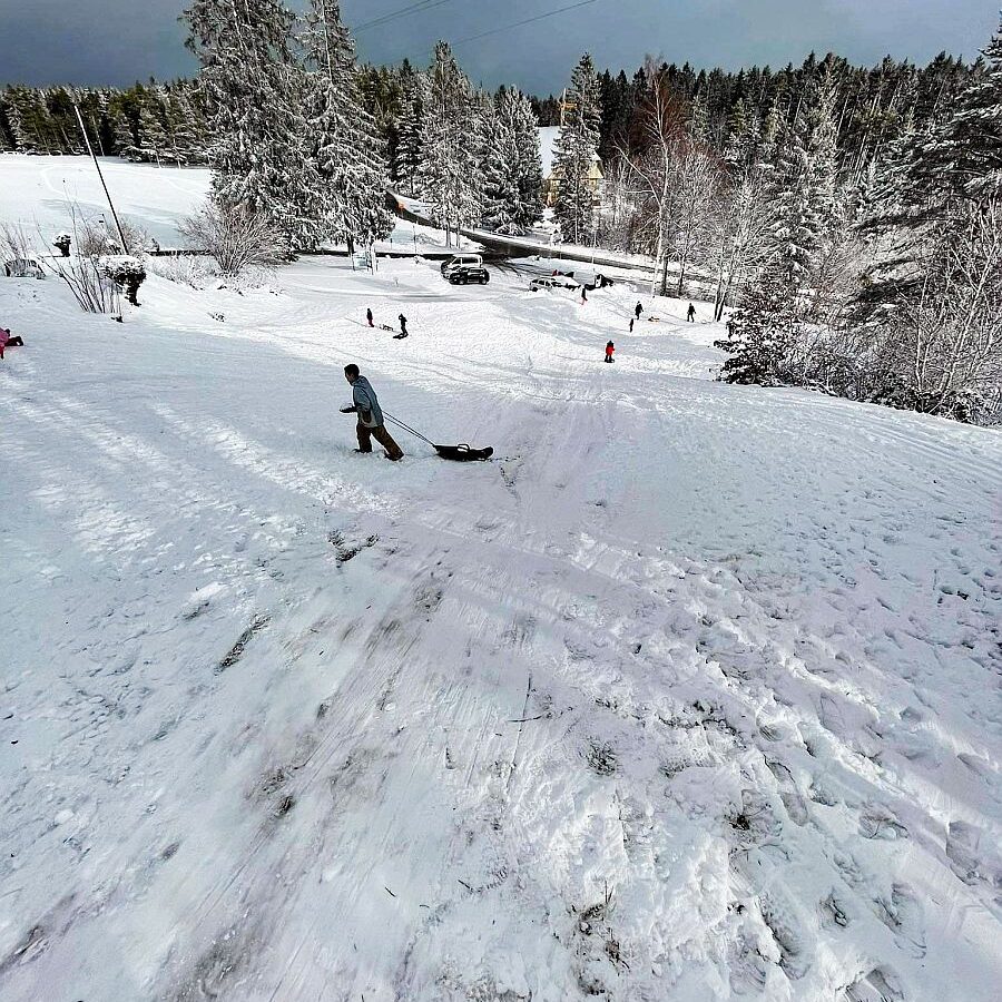 Rodelbahn Tennenbronn 02