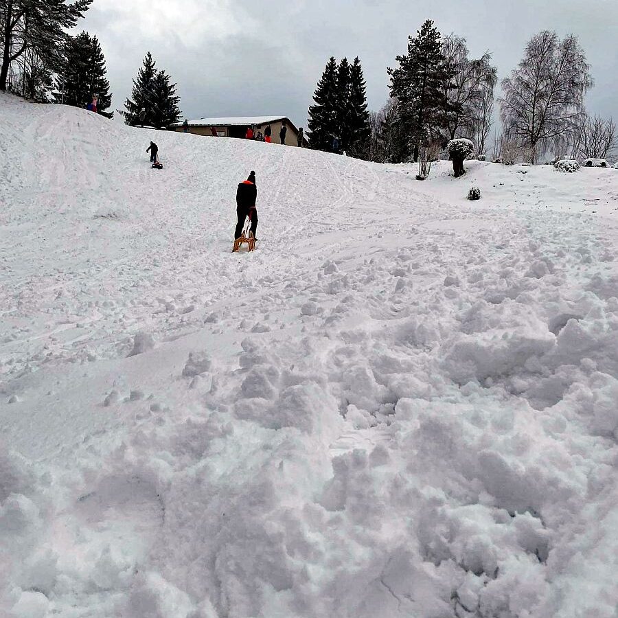 Rodelbahn Tennenbronn 03