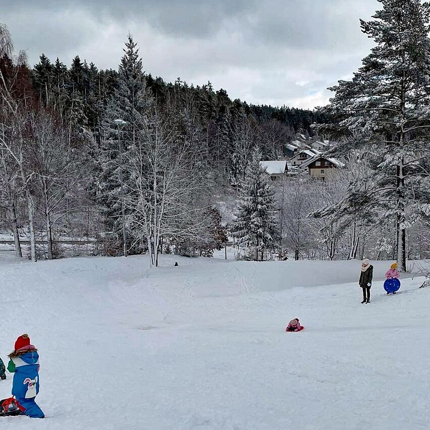Rodelbahn Tennenbronn 04