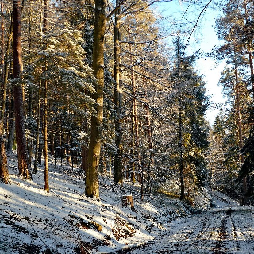 Schnee Todesspalt Feriendorf 04