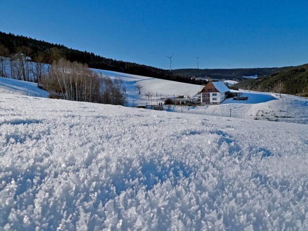 Schuetzen Hub Kohlwald Leihwies Sommerberg 02
