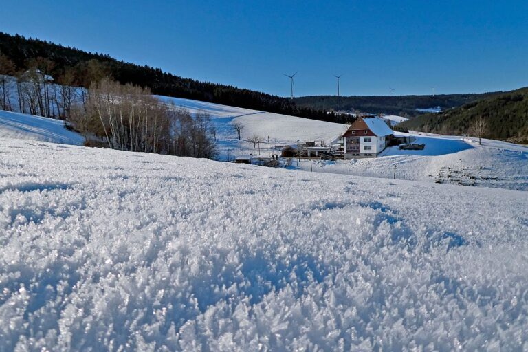 Schuetzen Hub Kohlwald Leihwies Sommerberg 02