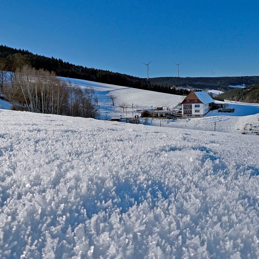 Schuetzen Hub Kohlwald Leihwies Sommerberg 02