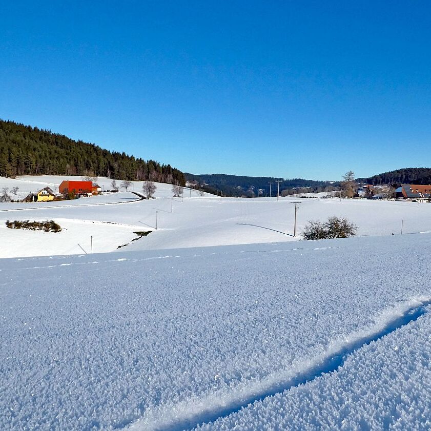 Schuetzen Hub Kohlwald Leihwies Sommerberg 03
