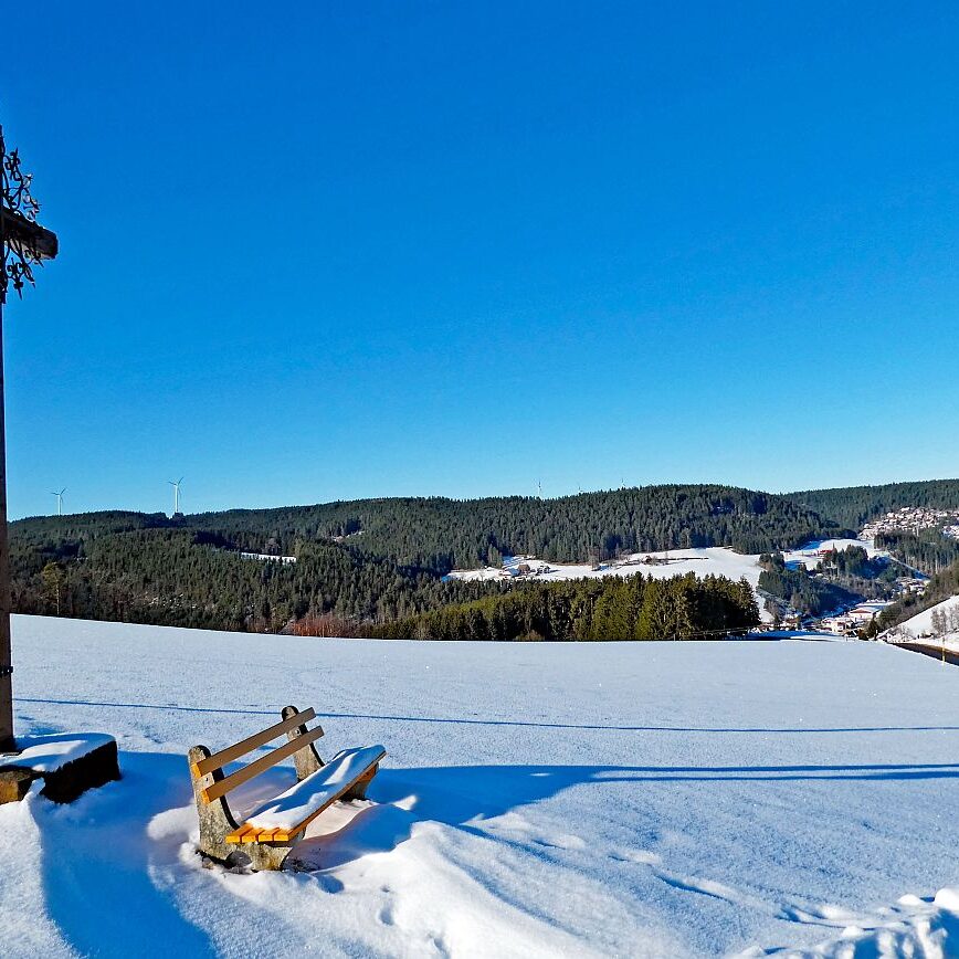 Schuetzen Hub Kohlwald Leihwies Sommerberg 04