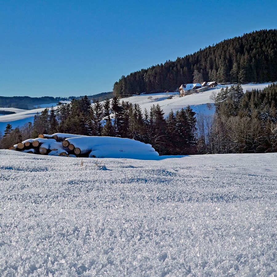 Schuetzen Hub Kohlwald Leihwies Sommerberg 06
