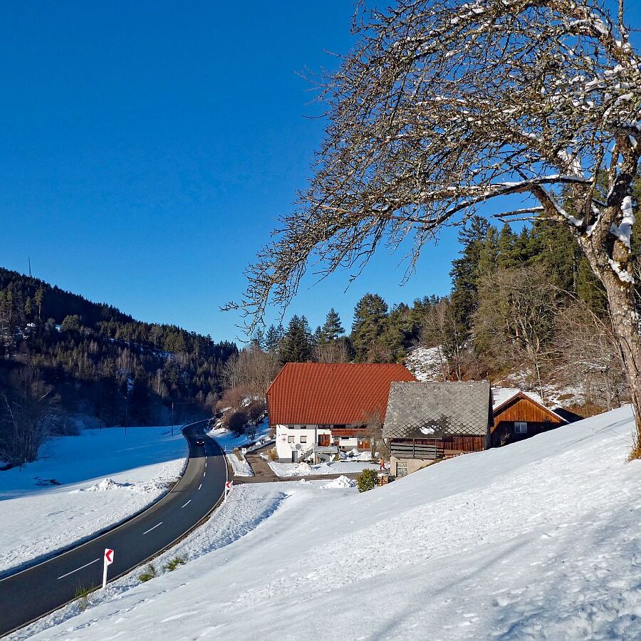 Schuetzen Hub Kohlwald Leihwies Sommerberg 07
