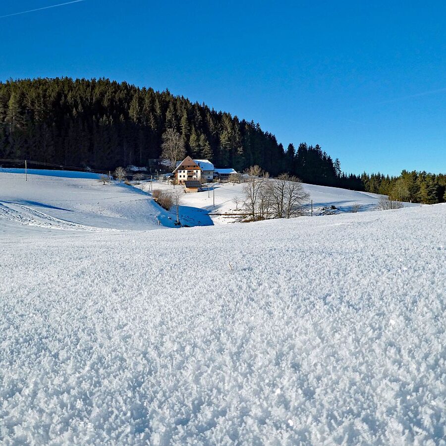 Schuetzen Hub Kohlwald Leihwies Sommerberg 10