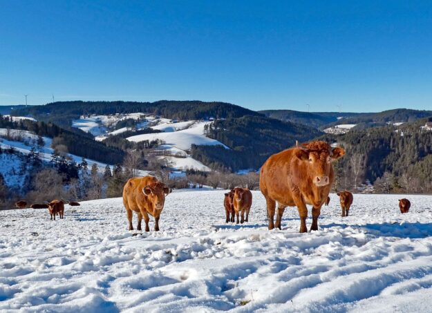 Ueber Hub Langenberg Mulp zur Altenburg 08