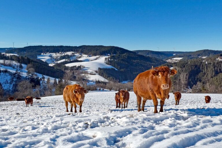 Ueber Hub Langenberg Mulp zur Altenburg 08