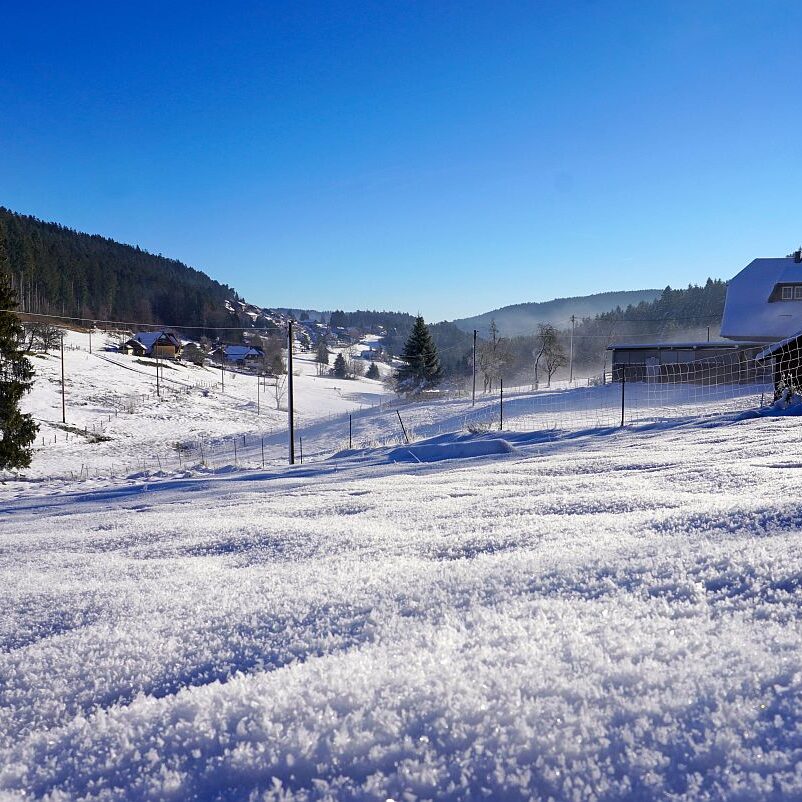 Winter im Gersbach in Tennenbronn 01