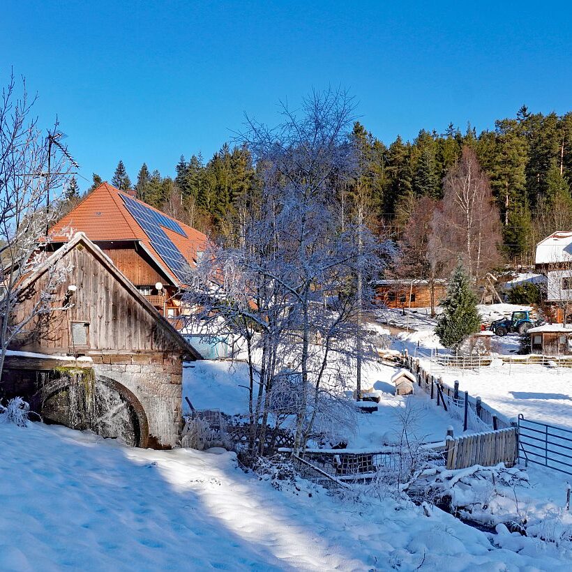 Winter im Gersbach in Tennenbronn 04