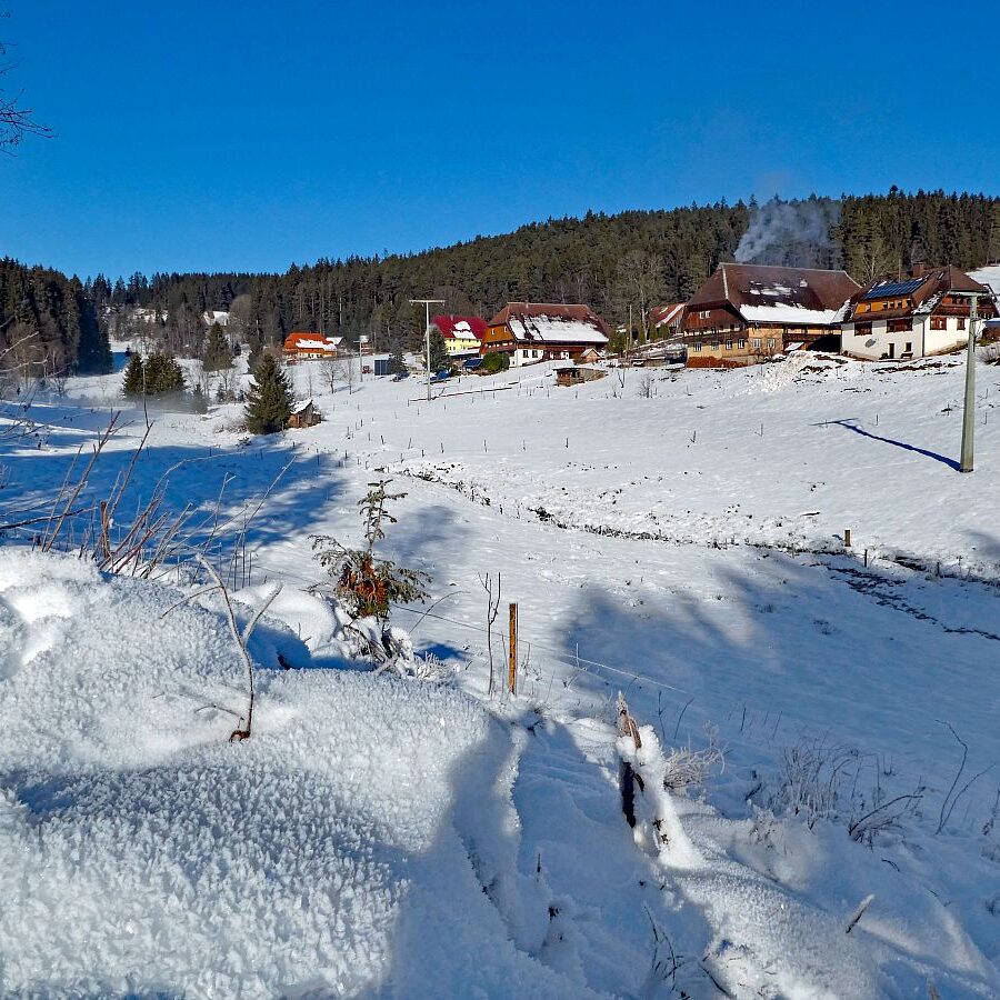 Winter im Gersbach in Tennenbronn 10