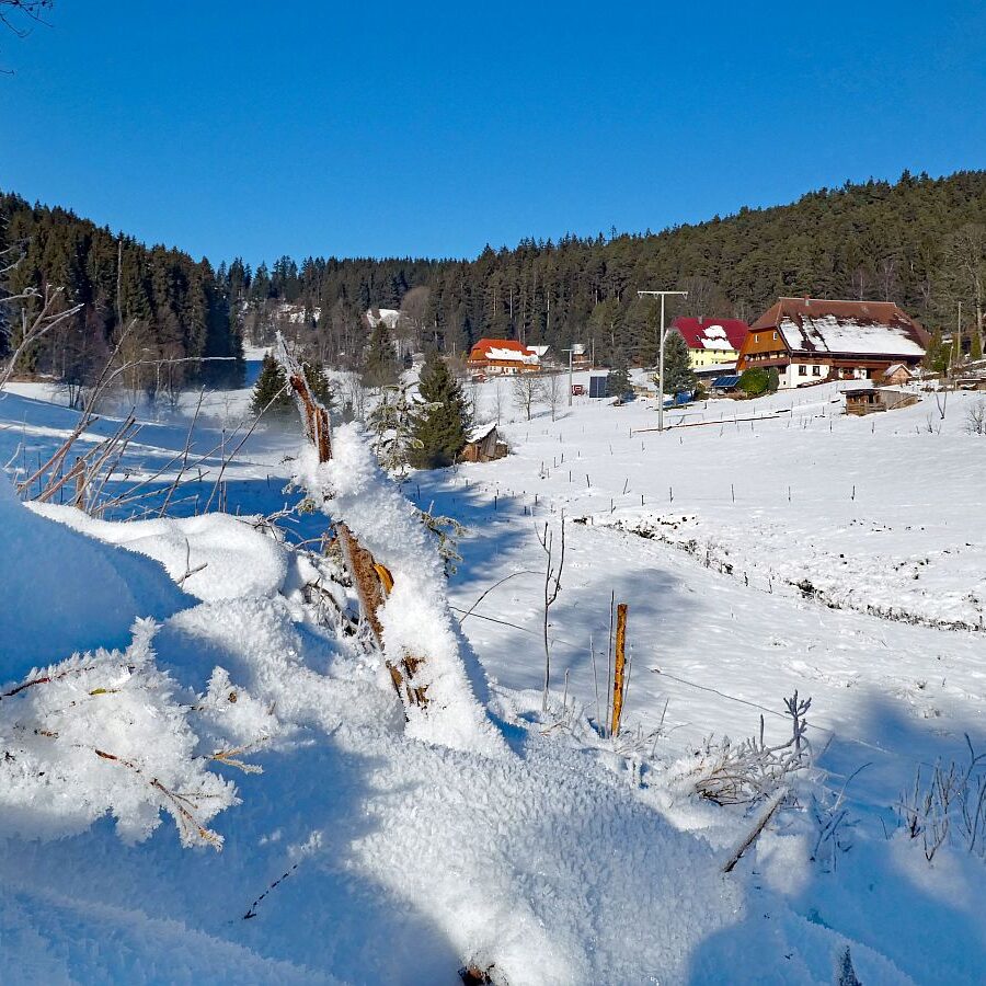 Winter im Gersbach in Tennenbronn 11