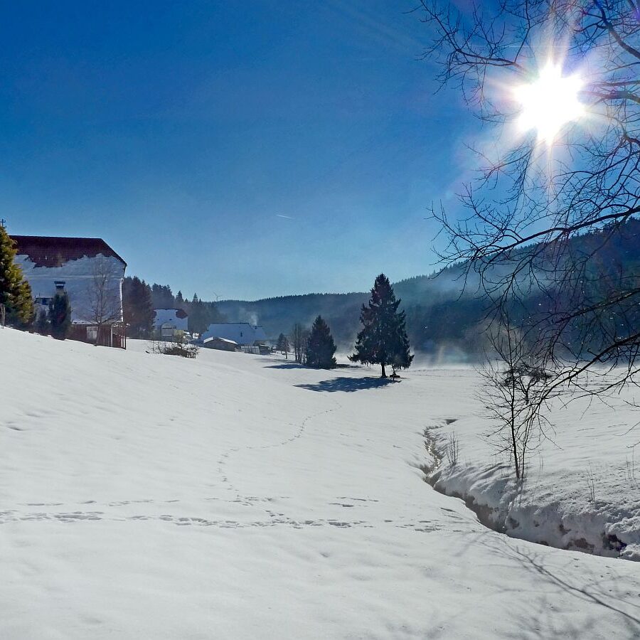 Winter im Gersbach in Tennenbronn 12