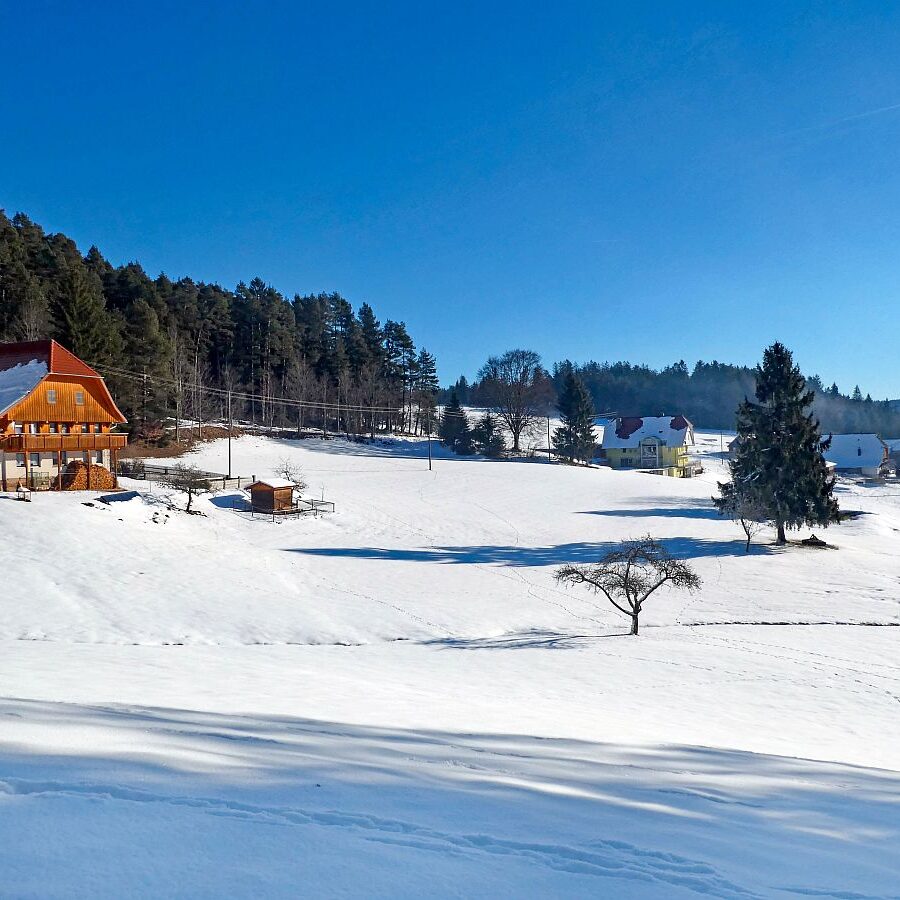 Winter im Gersbach in Tennenbronn 13
