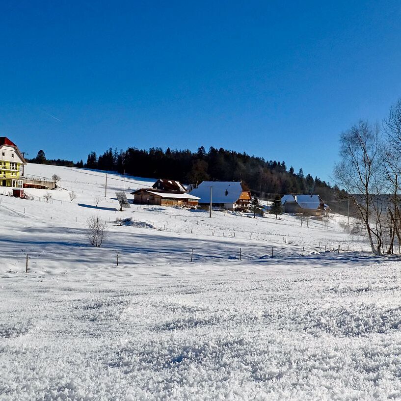 Winter im Gersbach in Tennenbronn 15