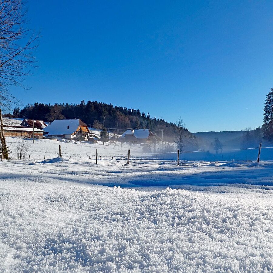Winter im Gersbach in Tennenbronn 16