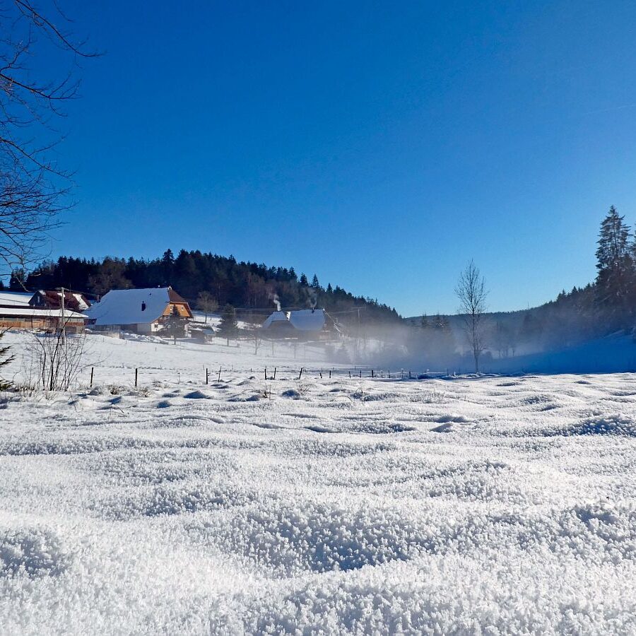 Winter im Gersbach in Tennenbronn 17