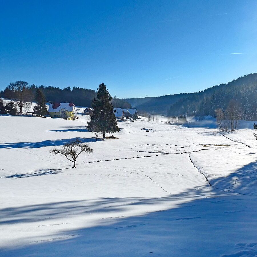 Winter im Gersbach in Tennenbronn 18