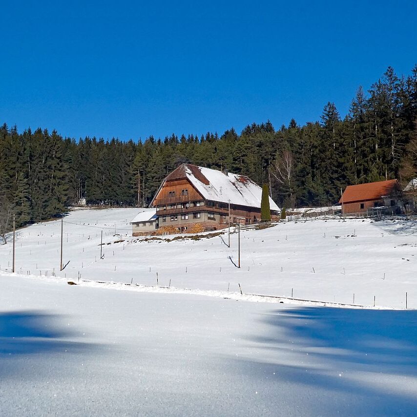 Winter im Gersbach in Tennenbronn 19