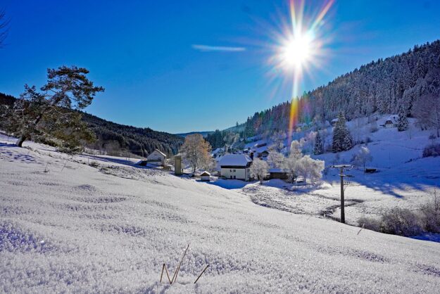 Winter in Tennenbronn im Eichbach Falken Purpen Reute Ramstein 03